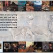Catalog 3
